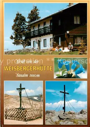 AK / Ansichtskarte 73854993 Wieting_St._Veit_an_der_Glan_Kaernten_AT Weisbergerhuette Eisernes Kreuz Gipfelkreuz 