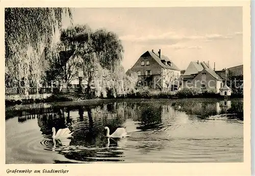 AK / Ansichtskarte  Grafenwoehr Am Stadtweiher Schwaene Grafenwoehr