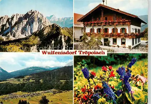 AK / Ansichtskarte  Troepolach_an_der_Gail_Kaernten_AT Gasthof Winkler Panorama Alpenflora 