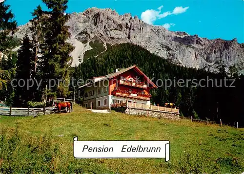 AK / Ansichtskarte  Ramsau_am_Dachstein_Schladming_Obersteiermark_AT Pension Edelbrunn Gasthaus 