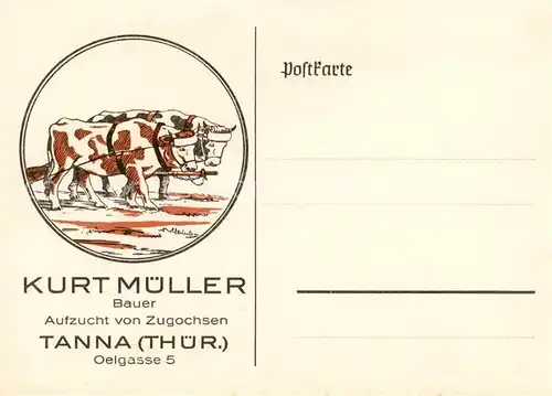 AK / Ansichtskarte 73855272 Tanna Aufzucht von Zugochsen Bauer Kurt Mueller Tanna