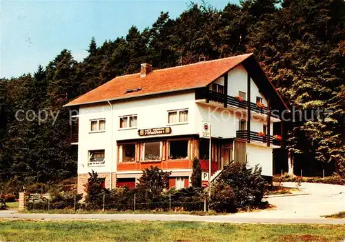 AK / Ansichtskarte  Neuhof_Trippstadt Café Restaurant Pension Waldsee Neuhof_Trippstadt