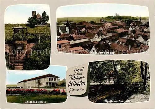 AK / Ansichtskarte  Osthofen_Rheinhessen Leckzapfen Panorama Blick vom Schnapp Goldberg-Schule Partie am Seebach Osthofen_Rheinhessen