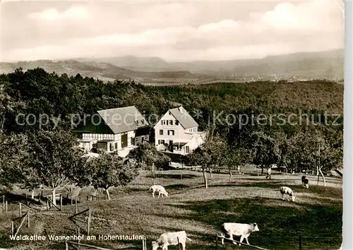 AK / Ansichtskarte  Hohenstaufen Wald-Kaffee Wannenhof am Hohenstaufen Viehweide Panorama Hohenstaufen