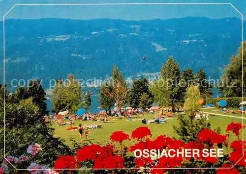 AK / Ansichtskarte  Ossiach_Ossiachersee Panorama Strandbad Liegewiese Ossiach Ossiachersee