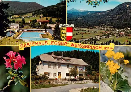AK / Ansichtskarte 73855902 Weissbriach_Gitschtal_Kaernten_AT Gaestehaus Egger Schwimmbad Panorama Alpenflora 