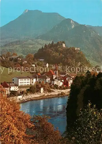 AK / Ansichtskarte  Losenstein_Oberoesterreich_AT Panorama mit Blick zur Burg im Ennstal 