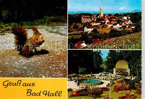 AK / Ansichtskarte  Bad_Hall_Solbad_Hall_AT Musikpavillon im Kurpark Eichhoernchen Ansicht mit Kirche 