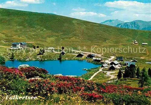 AK / Ansichtskarte  Falkertsee_Nockgebiet_Kaernten_AT Panorama Kaerntner Nockgebiet zur Zeit der Almrauschbluete 