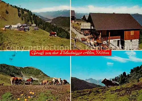 AK / Ansichtskarte 73856135 Hermagor_Kaernten_AT Jausenstation Poludniger Alm Almvieh Fernsicht Alpen 