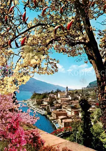 AK / Ansichtskarte  Limone_sul_Garda_IT Primavera Fruehling Panorama 