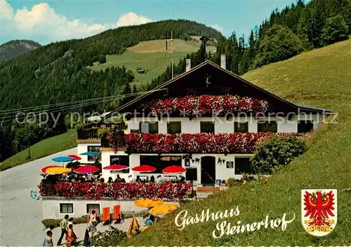 AK / Ansichtskarte 73856373 Zillertal_Tirol_AT Gasthof Steinerhof 