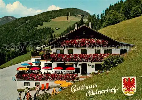 AK / Ansichtskarte  Zillertal_Tirol_AT Gasthof Steinerhof 