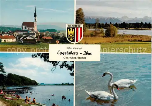 AK / Ansichtskarte  Eggelsberg_Oberoesterreich_AT Kirche Heratingersee Strandpartie Schwaene 