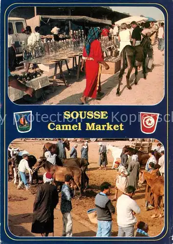 AK / Ansichtskarte  Sousse_Tunesie Camel Market 