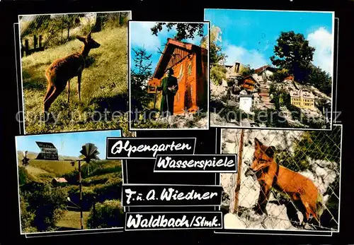 AK / Ansichtskarte 73856671 Waldbach_Steiermark_AT Alpengarten Wasserspiele Tiergehege 
