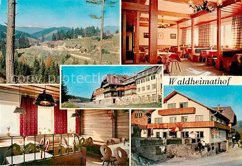 AK / Ansichtskarte  Alpl_Krieglach_Steiermark_AT Waldheimathof Alpengasthof Bruggraber Rosseggers Waldheimat Panorama 