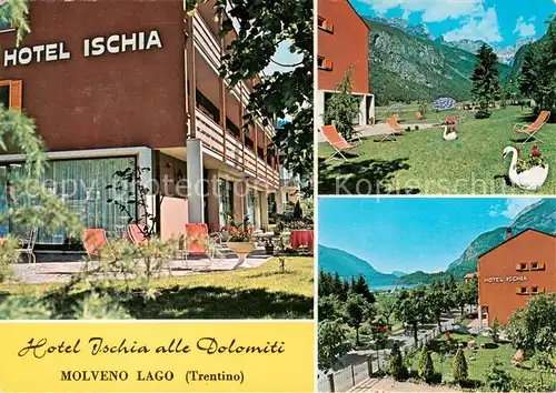 AK / Ansichtskarte 73856709 Molveno_Trentino_IT Hotel Ischia alle Dolomiti Liegewiese Panorama 