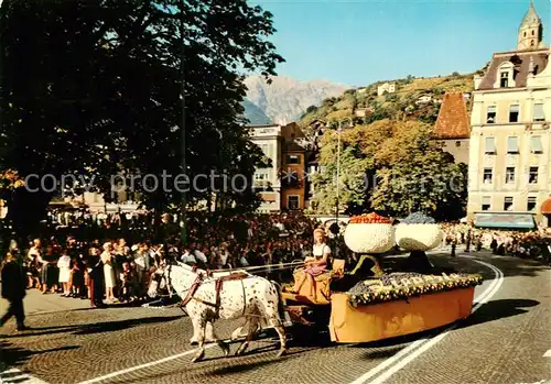 AK / Ansichtskarte 73857029 Meran_Merano_IT Erntefest Pferdewagen Festa dell uva 