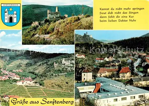 AK / Ansichtskarte 73857215 Senftenberg_Niederoesterreich Ruine mit Heimkehrerdankkreuz Kirche Ruine Blick ins Kremstal Senftenberg
