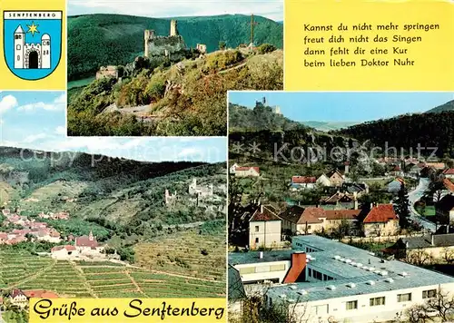 AK / Ansichtskarte  Senftenberg_Niederoesterreich Ruine mit Heimkehrerdankkreuz Kirche Ruine Blick ins Kremstal Senftenberg