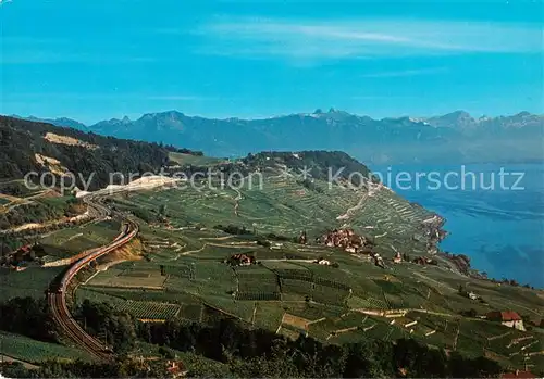 AK / Ansichtskarte  Lavaux__VD Panorama Genfersee Alpen 