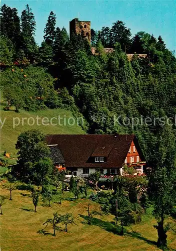 AK / Ansichtskarte  Schramberg Gasthaus Schilteckhof Burgruine Schramberg