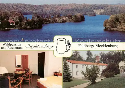 AK / Ansichtskarte  Feldberg_Mecklenburg Waldpension Restaurant Stieglitzenkrug Zimmer Seepartie Feldberg_Mecklenburg