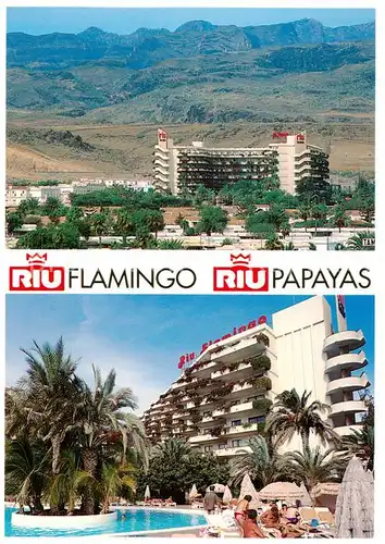 AK / Ansichtskarte  Playa_del_Ingles_Gran_Canaria_ES Aparthotel Riu Flamingo Hotel Riu Papayas 