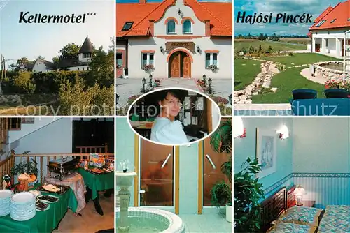 AK / Ansichtskarte  Hajos_HU Kellermotel Hajosi Pincek Details 