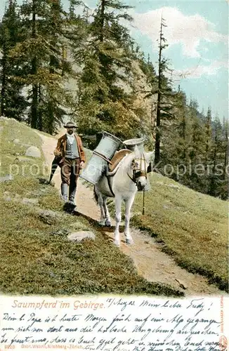 AK / Ansichtskarte  Landwirtschaft Saumpferd im Gebirge  