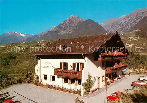 AK / Ansichtskarte 73858063 Schenna_Meran_Trentino_IT Pension Petaunerhof mit Texelgruppe 