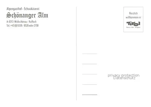 AK / Ansichtskarte  Auffach Alpengasthof Schaukaeserei Schoenanger Alm Panorama Auffach