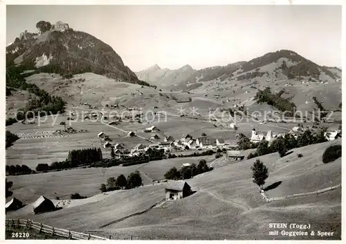 AK / Ansichtskarte  Stein_Toggenburg_SG Panorama mit Goggeien und Speer 