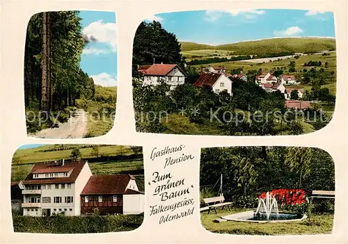 AK / Ansichtskarte  Falkengesaess_Odenwald Panorama Waldpartie Gasthaus Pension Zum gruenen Baum Falkengesaess Odenwald