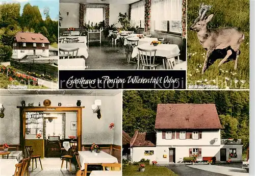 AK / Ansichtskarte 73858367 Miltenberg_Main Gasthaus Pension Wiesental Forsthaus Wild Miltenberg Main