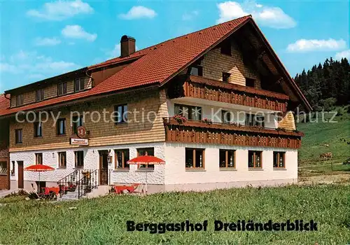 AK / Ansichtskarte  Hagspiel Berggasthof Dreilaenderblick Hagspiel