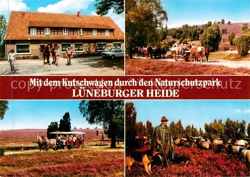 AK / Ansichtskarte  Lueneburger_Heide Mit dem Kutschwagen durch den Naturschutzpark Lueneburger Heide Lueneburger Heide