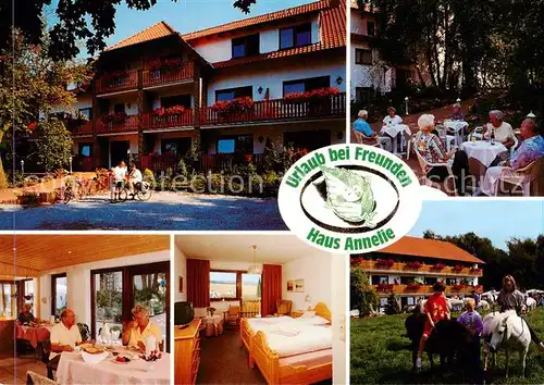 AK / Ansichtskarte 73858897 Bad_Holzhausen_Luebbecke_Preussisch_Oldendorf_NRW Pension Haus Annelie Terrasse Gastraum Zimmer Ponyreiten 