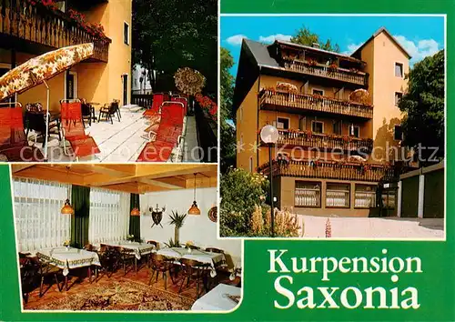 AK / Ansichtskarte  Bad_Steben Kurpension Saxonia Gaststube Terrasse Bad_Steben