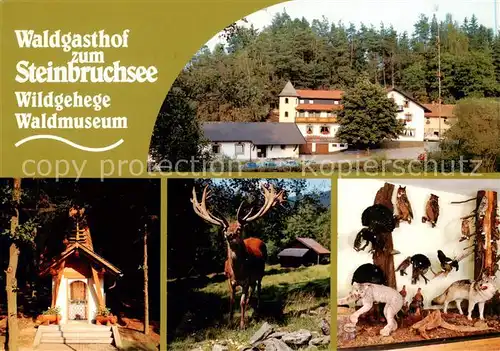 AK / Ansichtskarte 73859327 Furth_Wald Waldgasthof zum Steinbruchsee Waldmuseum Wildgehege Furth_Wald