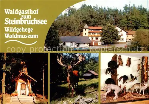 AK / Ansichtskarte  Furth_Wald Waldgasthof zum Steinbruchsee Waldmuseum Wildgehege Furth_Wald