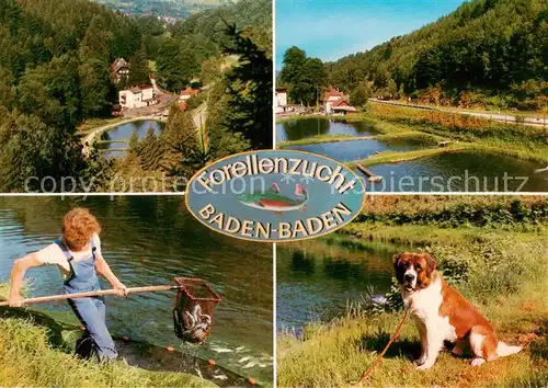 AK / Ansichtskarte  Baden-Baden Forellenzucht Bernhardiner Fernseh-Forellenhof Baden-Baden