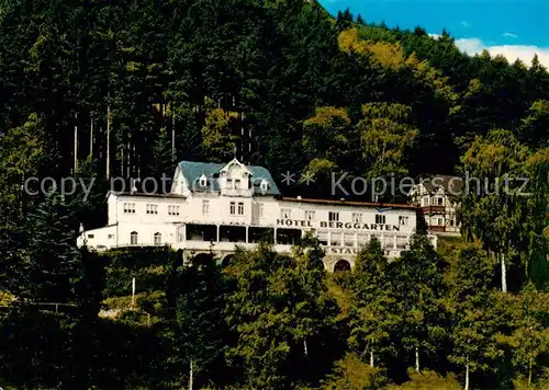 AK / Ansichtskarte  Biedenkopf_Lahn Hotel Berggarten Luftkurort 