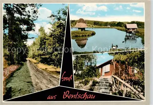 AK / Ansichtskarte  Ventschau_Tosterglope Waldpartie Schwanenteich Huette 