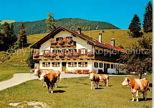 AK / Ansichtskarte  Jachenau Gaestehaus Pension Haus Frech Viehweide Kuehe Huber Karte Nr. 10.662 Jachenau