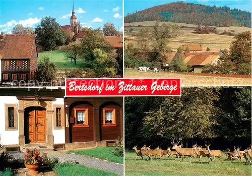 AK / Ansichtskarte  Bertsdorf-Hoernitz Kirchensemble Breiteberg Sandsteintuerstock Wildgehege Posselt 