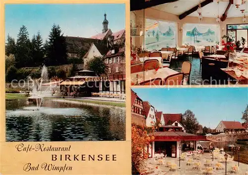 AK / Ansichtskarte  Bad_Wimpfen_Neckar Cafe Restaurant Birkensee Gastraeume Freiterrasse 