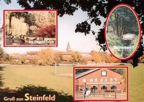 AK / Ansichtskarte  Steinfeld__Oldenburg Am Ziegelleiteich Muehlenbach Erholungszentrum Dammer Berge 