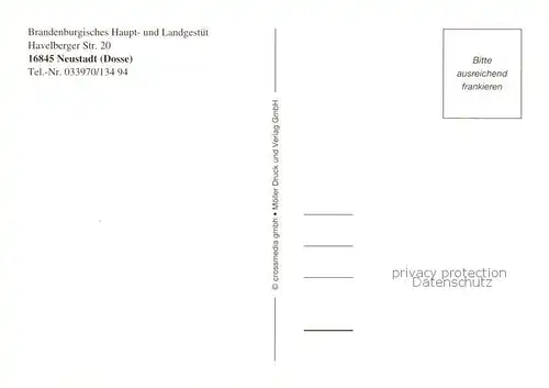 AK / Ansichtskarte  Neustadt_Dosse Brandenburgisches Haupt und Landgestuet Sechsspaenner  Neustadt_Dosse